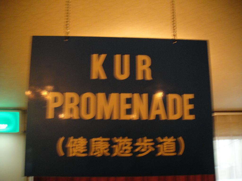 שימודה Kurhaus Ishibashi Ryokan מראה חיצוני תמונה